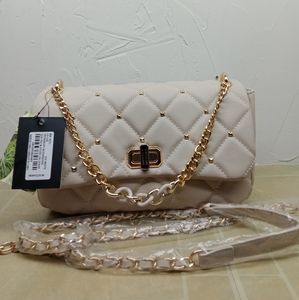 Badgley Mischka purse